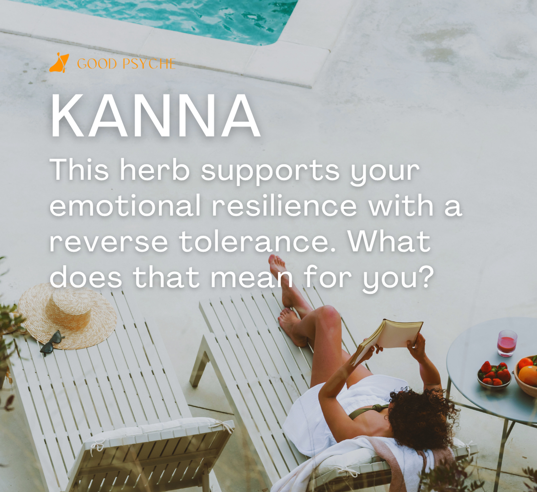 Kanna: The Non-Habit Forming Herb with Reverse Tolerance for Mood Enhancement & Stress Relief