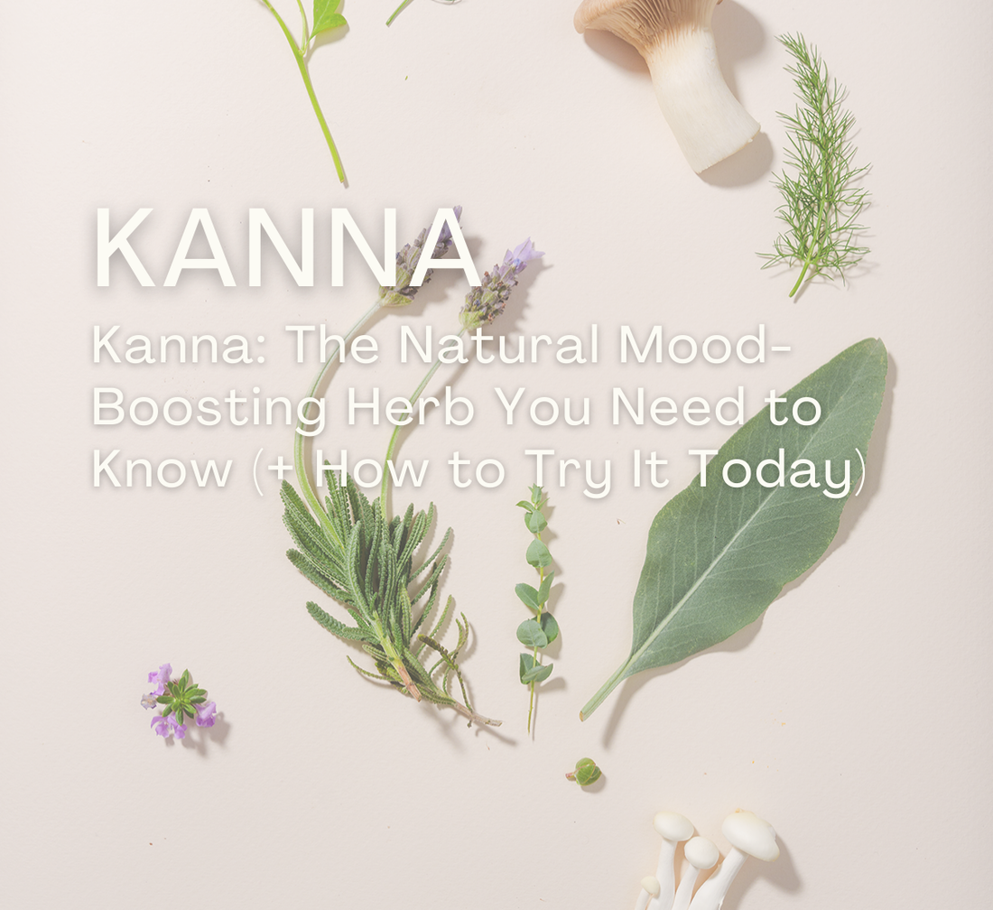 KANNA: The Natural Mood-Boosting Herb You Need to Know (+ How to Try It Today)