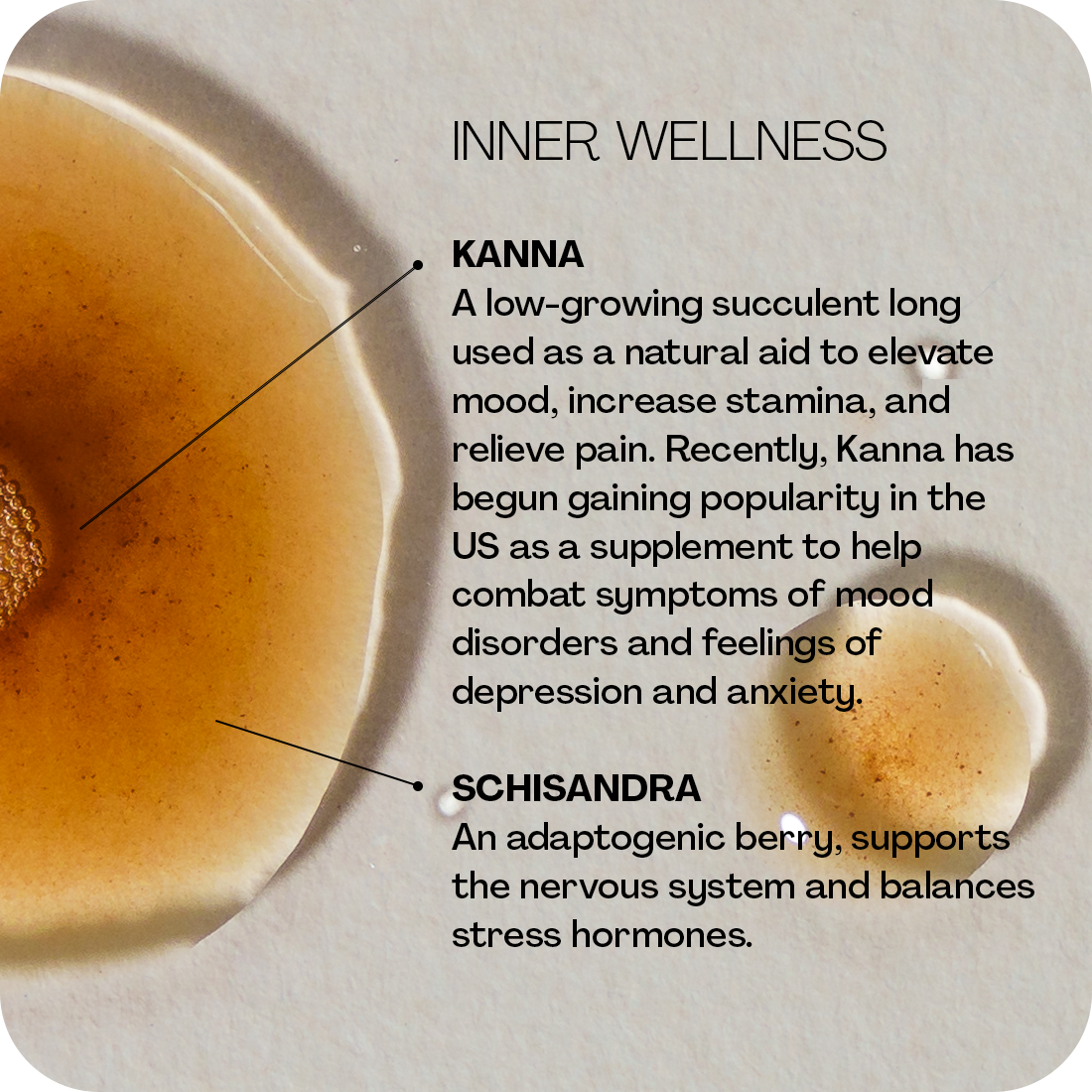 Inner | Outer Beauty Bundle
