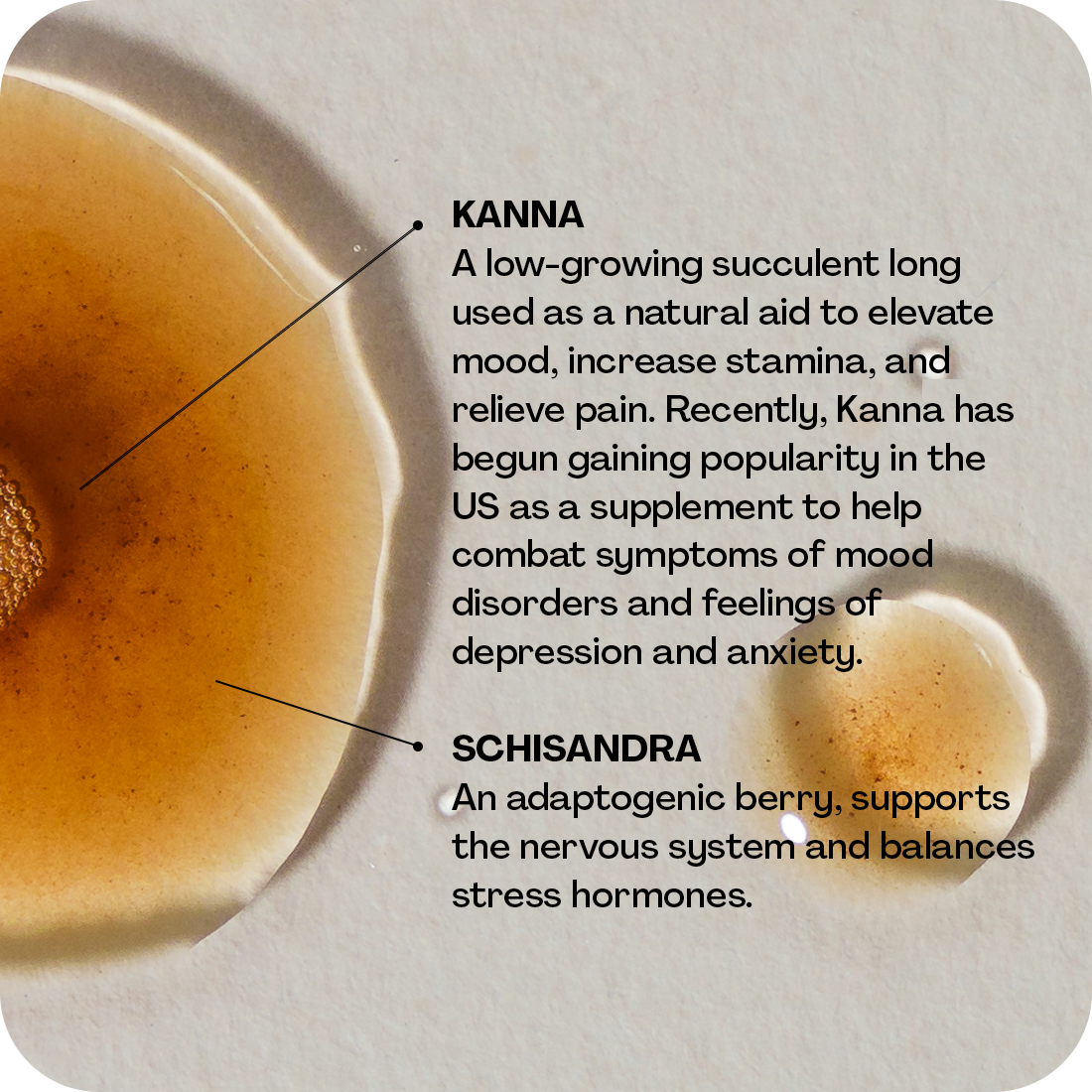 A picture of Sidekick, the ingestible euphoric mouth spray liquid with writing next to it detailing the ingredients kanna and schisandra as natural aids to elevate mood, increase stamina, relieve pain, and combat symptoms of mood disorders like anxiety and depression while supporting your nervous system.
