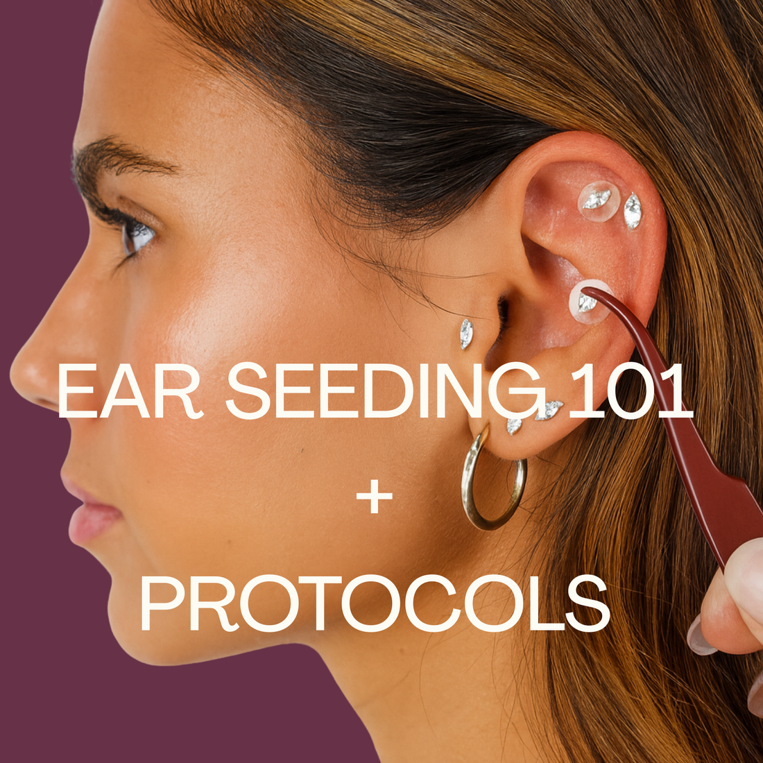 Master Ear Seeding with Our Suggested Protocols
