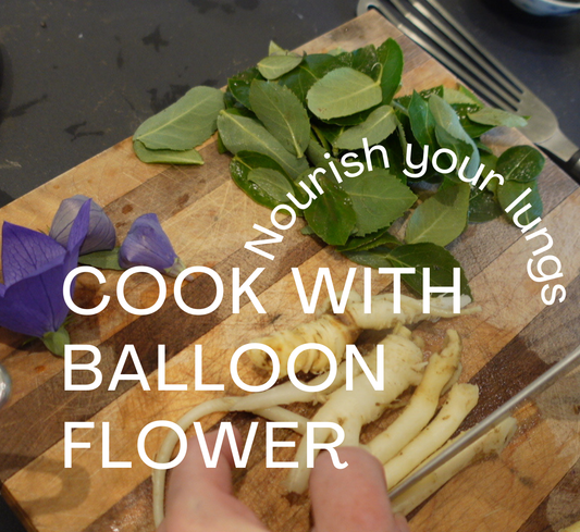 Nourish your respiratory health by cooking with Balloon Flower