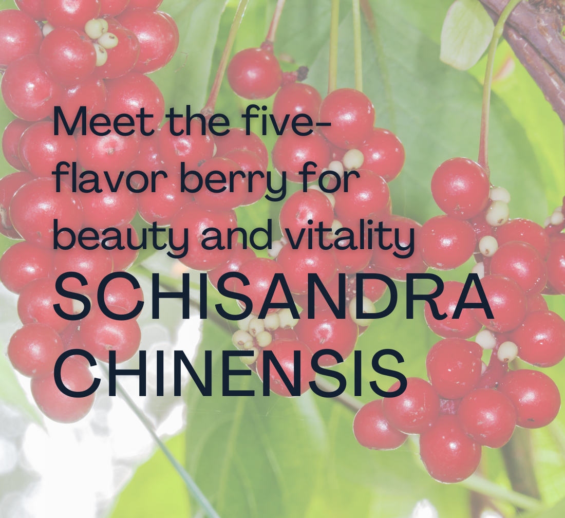 Schisandra Chinensis: The berry for beauty inside and out