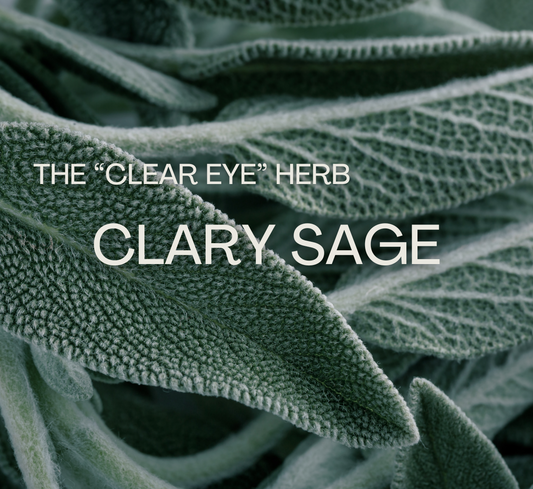 Clary Sage: The "Clear Eye" Herb