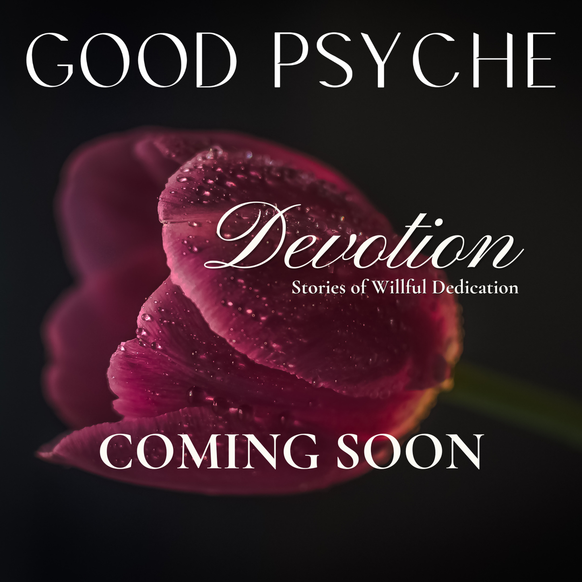 GOOD PSYCHE ANNUAL SUBSCRIPTION